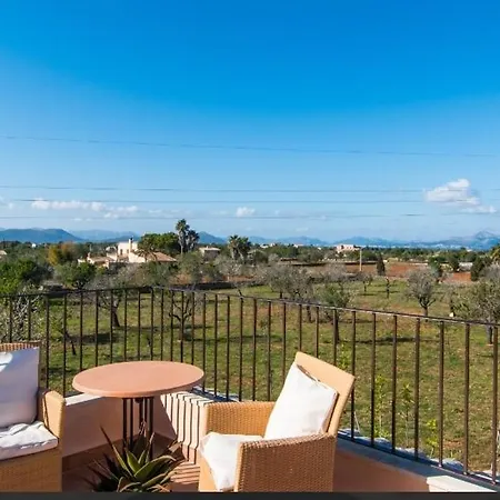 Cari Can Picafort (Mallorca)