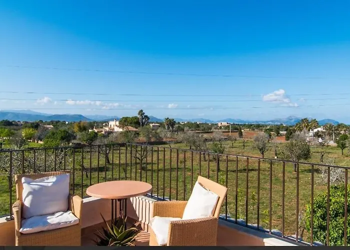 Cari Can Picafort (Mallorca)